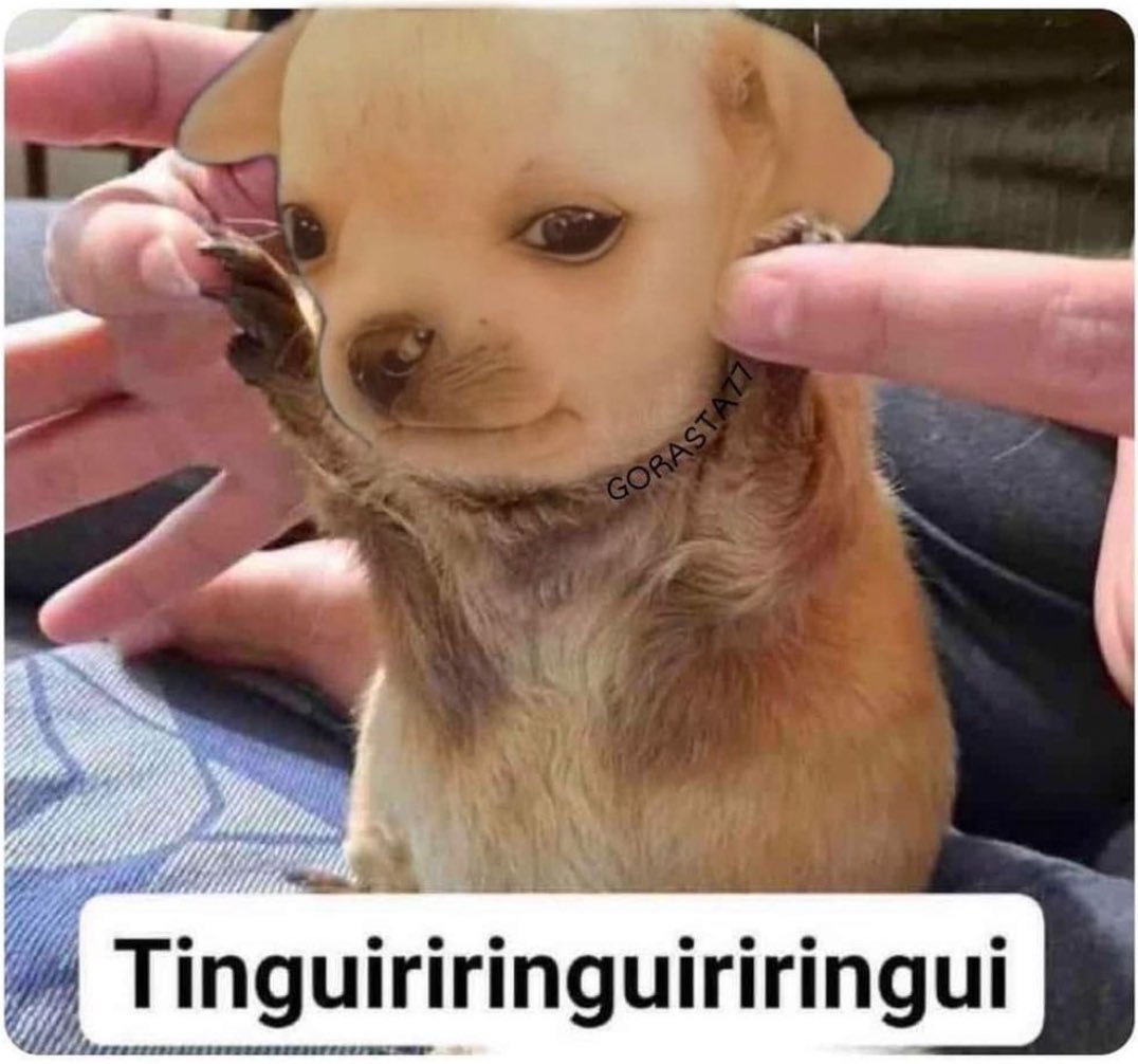 CoachCesar318's tweet image. Mi abuelito cuando era bebé: