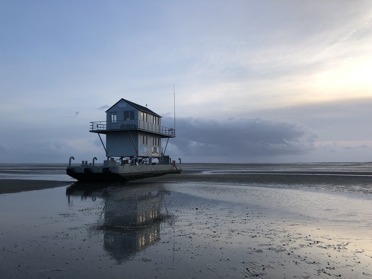 de_Richel's tweet photo. Laag water, de foeragerende vogels zijn al verderop, tijd om van de toren af te gaan. Op enkele plekken kwallen, waaronder de prachtige kompaskwal en de opvallend blauwe……blauwe haarkwal. #Richel #Waddenzee https://t.co/yHcBk7o8h6