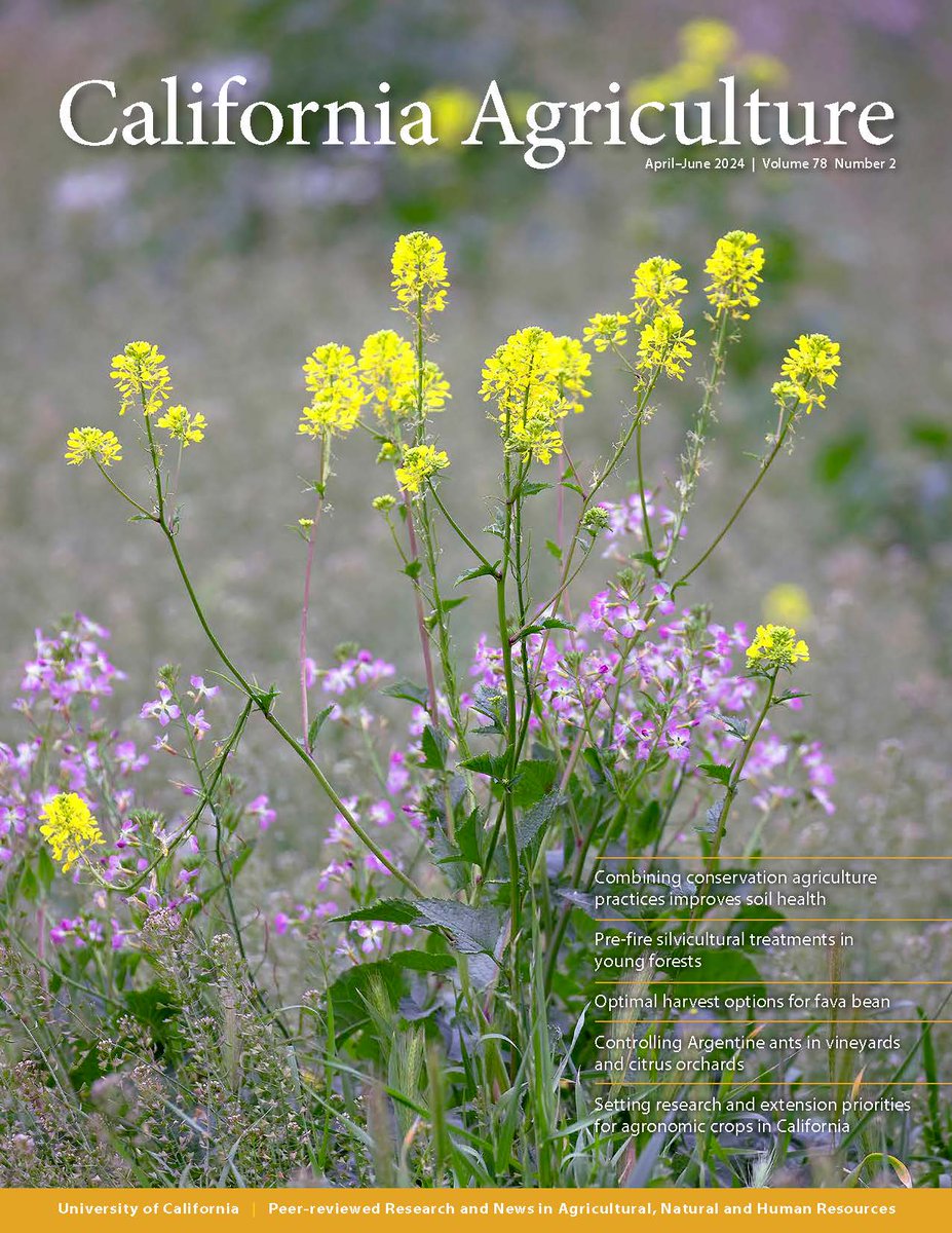 Our latest issue is out now at californiaagriculture.org and features the findings of a 20-year soil health study in the San Joaquin Valley. Plus, we have articles on prescribed fire in young forests, harvesting options for fava bean, and more.