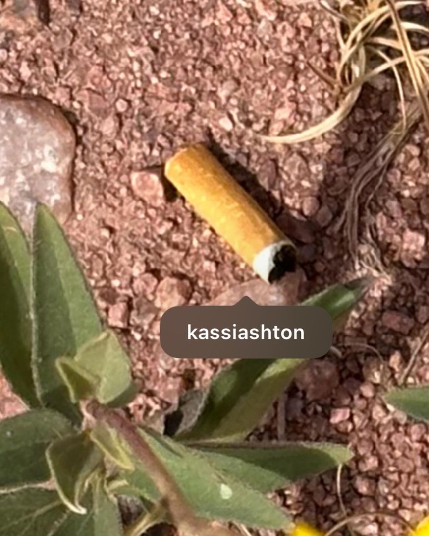 Professional photos that professionally demonstrate that I’m a professional will come soon. For now you get these.