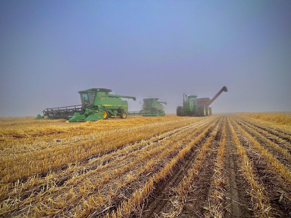 Now the combines are rolling, we are ready to get soil sampling! After a year of variability throughout the fields, soil sampling is a great way to see what’s going on in your soil. Call or text Annabelle (204-208-4006) to get your fields on the list!