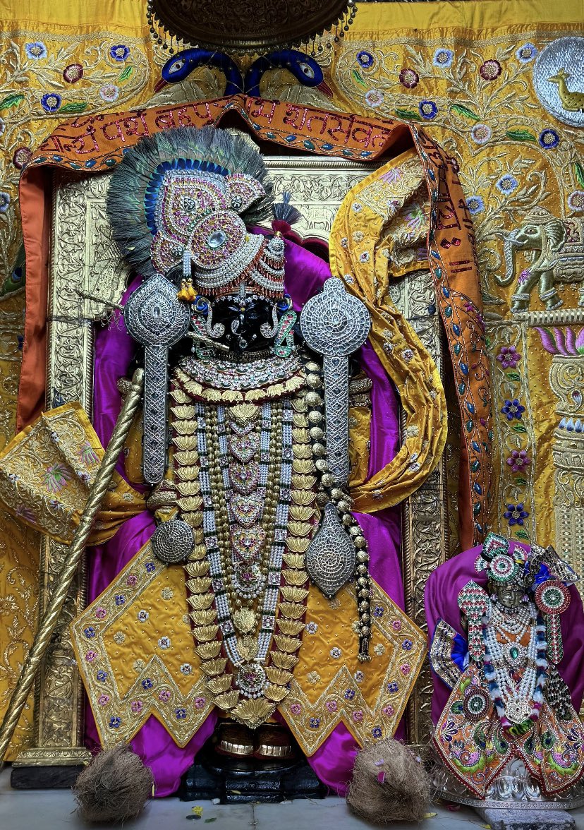 DwarkadhishDham's tweet photo. आनंद उमंग भयो, जय हो नन्द लाल की।
नन्द के आनंद भयो, जय कन्हिया लाल की॥

श्री कृष्णा जन्मोत्सव की हार्दिक बधाई. 

श्री द्वारिकाधीश���ी के अद्भुत श्रिंगार दर्शन

- पुजारी परिवार श्री द्वारिकाधीश मंदिर 

#dwarka #janmashatmi2024 #Janmaashtami https://t.co/C3ZPBK5Hdk