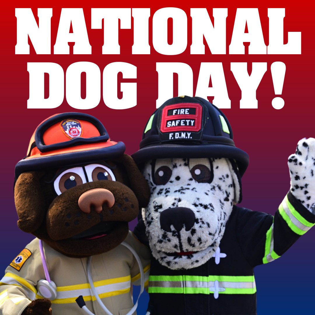 Happy #NationalDogDay from your two @fdny mascots!