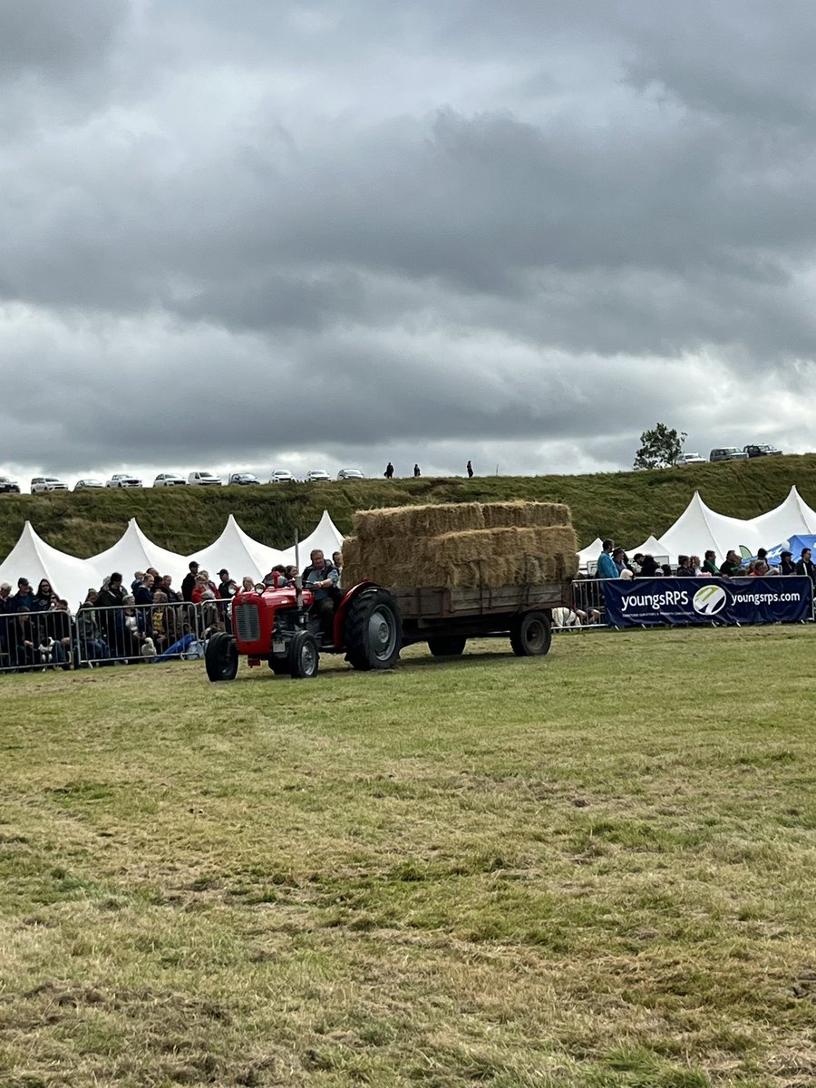 David Fursdon tweet media