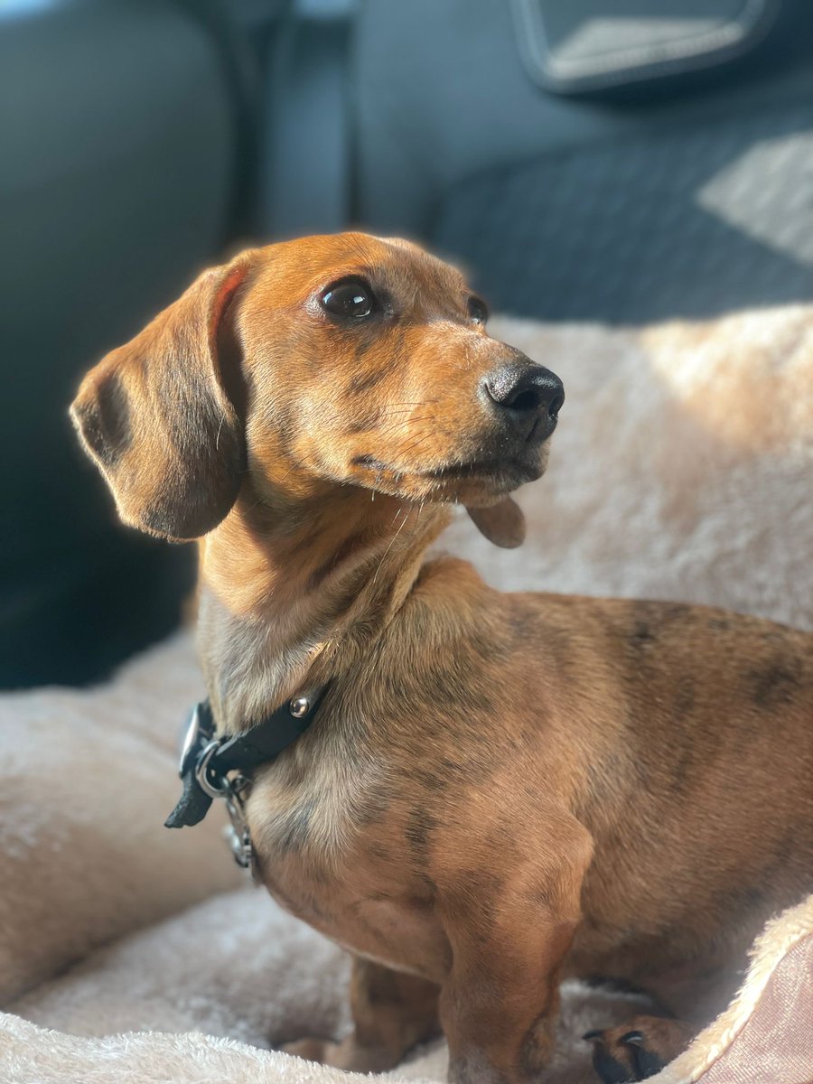 Melanie Hewitt FRSA tweet media