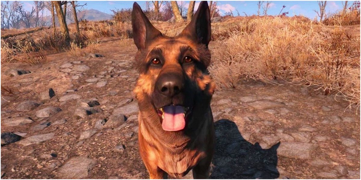 dialupgames's tweet photo. Celebrating #NationalDogDay with our Top Retro Game Dogs! Who is your favorite gaming canine? 🐕 
Did we miss any? 🐾

 #retrogames https://t.co/LOHM8kCUXO