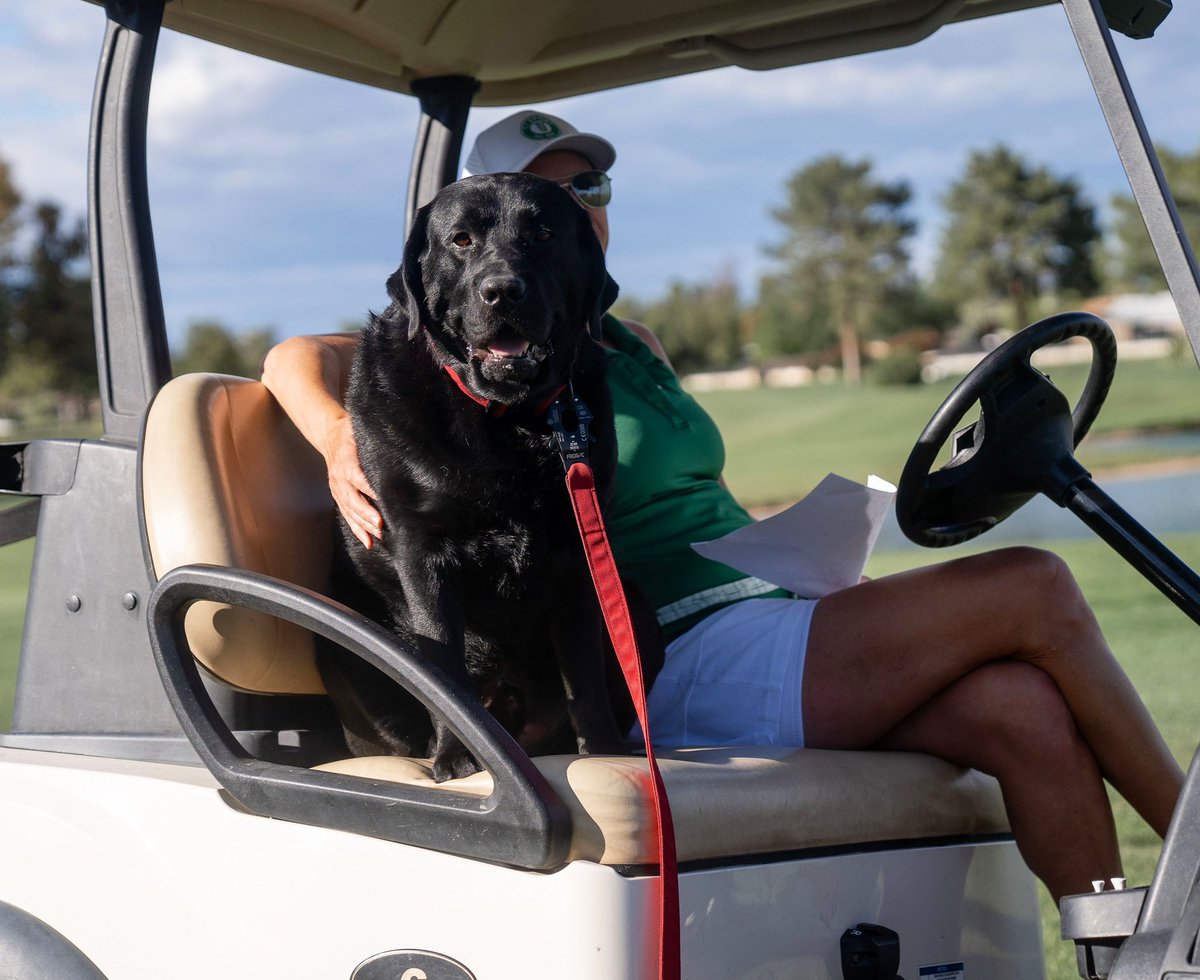 TJSportUSA's tweet photo. Itβs National Dog Day and we simply must raise our glasses up to the fantastic Bodhi, our ride or die! π₯ πΎ
#TJSport #NationalDogDay #Bodhi #LabsofInstagram #dogpeople https://t.co/AqonnsS73a