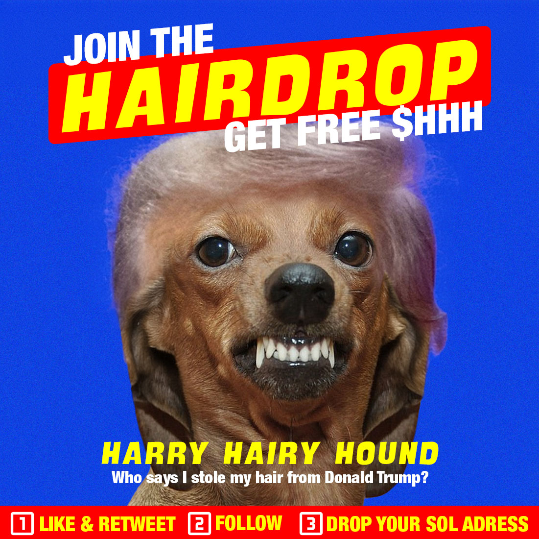 HarryHairyHo's tweet photo. @GeniXbt Glad you found me, $HHH HarryHairyHound.
#airdrop #hairdrop #trump #hairmony #solana #pumpfun #memecoin
β‘οΈhttps://t.co/pR5WwcZCoZ https://t.co/Ul4JUCEZUj
