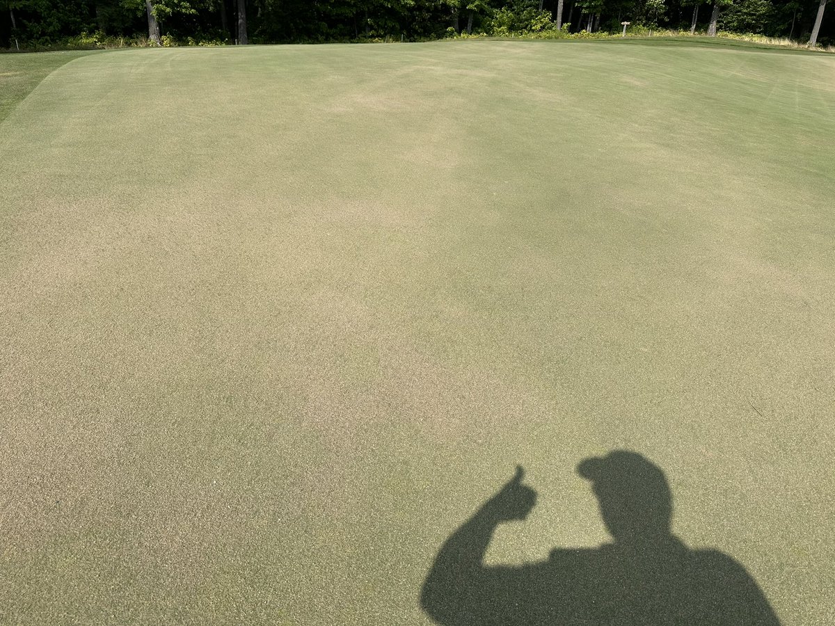 MarquetteGolf's tweet photo. Sand topdressing the #Greywalls putting surfaces and surrounds today. End product is outstanding and the rain coming our way tomorrow should help work the sand into the canopy where we want it. #MarquetteGolfClub #ThatchManagement #FirmAndTrue https://t.co/JfISy9HgYI