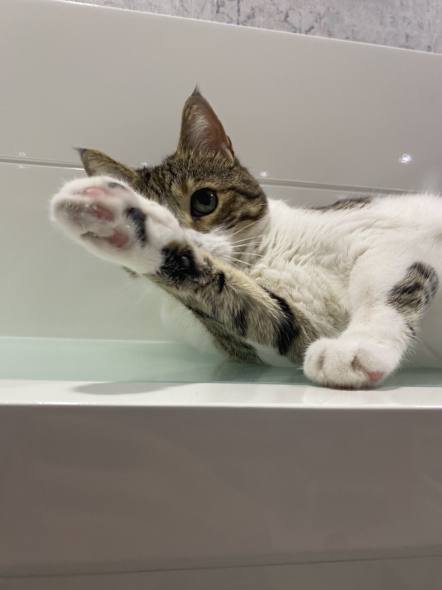 malum hareketi yapmaya hazırlanıyo