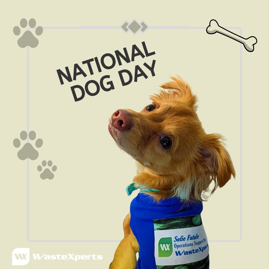 Wastexperts's tweet image. Wishing everyone a happy National Dog Day! Give a few extra tummy rubs to your four-legged friend! #nationaldogday #dogloversunite #wasteXperts
