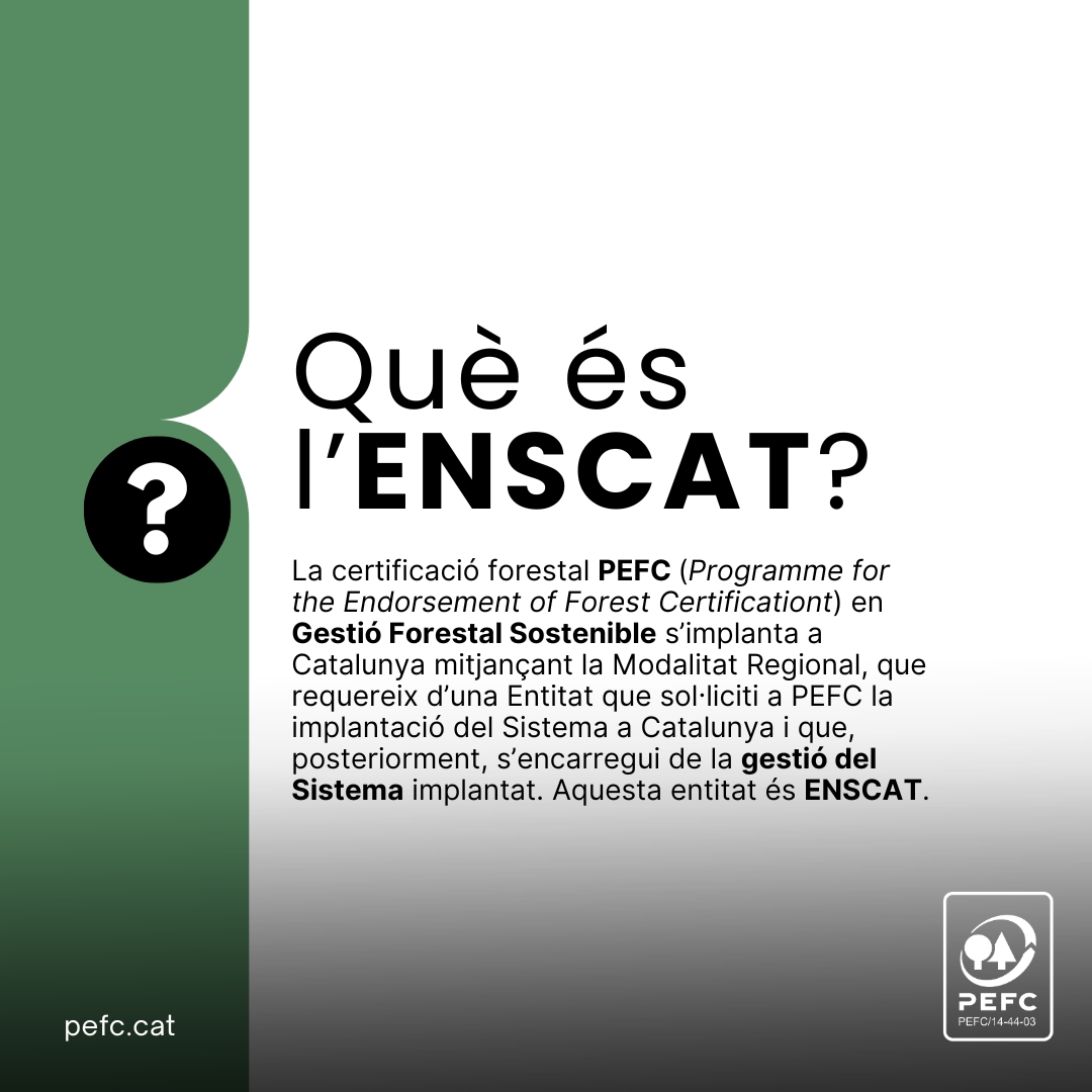 PEFC_Catalunya's tweet photo. #ENSCAT és una entitat dedicada a la certificació de la gestió #forestal #sostenible. Facilita a propietaris de #boscos i empreses de treballs forestals l'obtenció del certificat #PEFC🌳🌲
Vols més informació? Entra a la pàgina web d'ENSCAT: https://t.co/jmbl0yMgkB https://t.co/3d0RsyLEwi