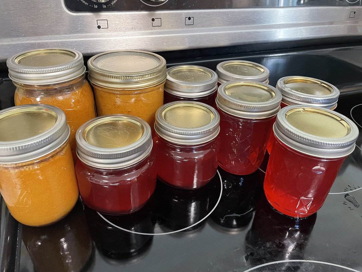 Hunt27Jessica's tweet photo. #everybitcountschallenge 

Today we used *some* of those plums to make plum sauce and scrap jelly out of the skins and pits. 
I still have quite a few to work through, but we also love eating them fresh! 
I also froze a bunch of grapes. They are ripening faster than I can handle! https://t.co/P6NvrSOZob