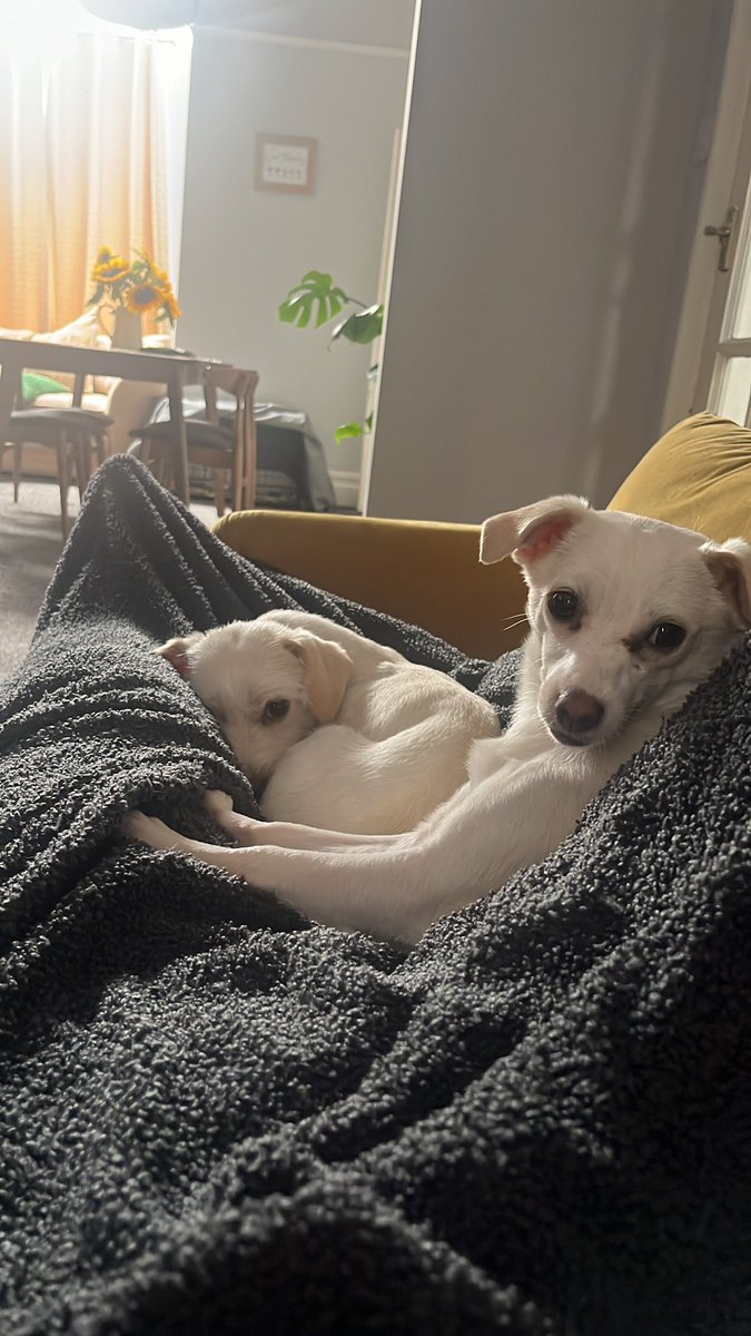 John (he/him) tweet media