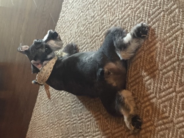 Rodney E. Rohde, PhD "Doc R" tweet media