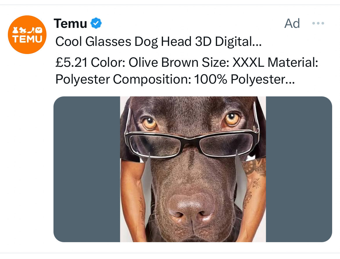 Dear <a href="/elonmusk/">Elon Musk</a> <a href="/X/">X</a> - for the love of god make the Temu ads stop. And no I don’t want to pay for a blue tick. Just have better ads.