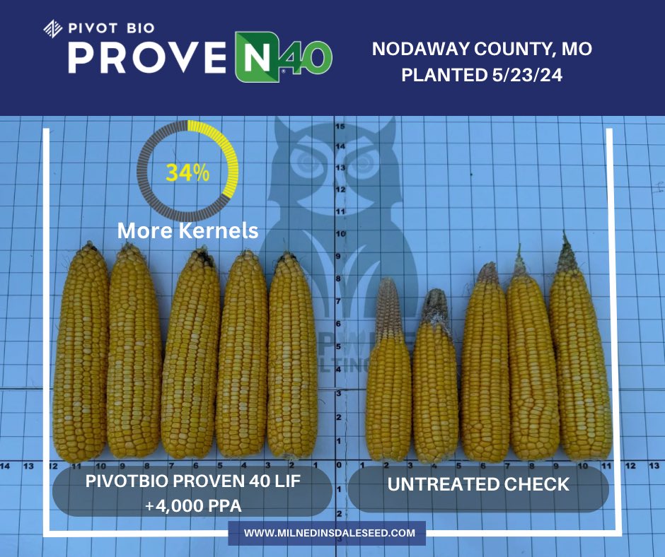 Erin Marlow tweet media