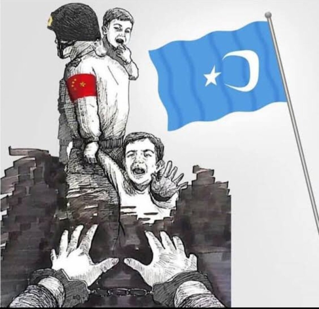 Doğu Türkistan'da işgal devam