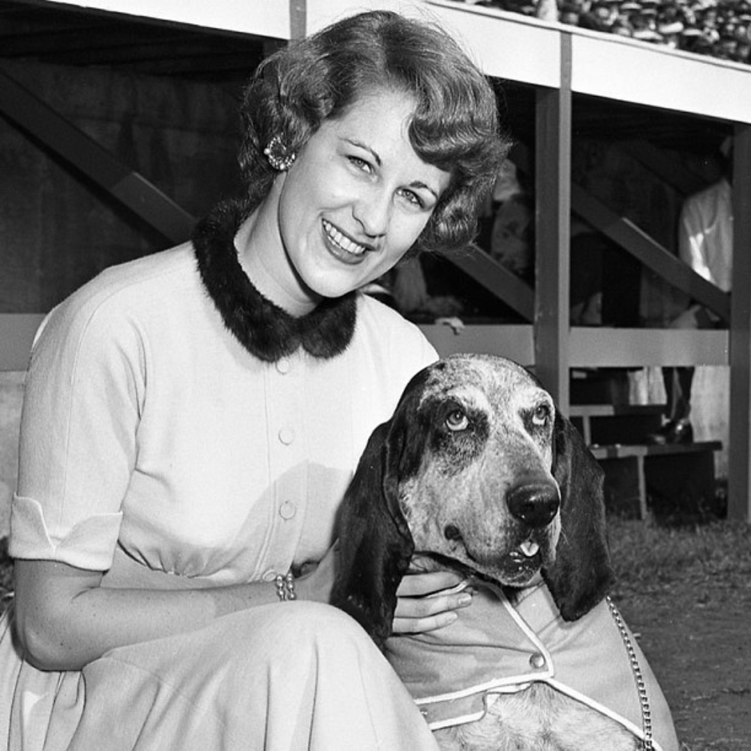 Happy #NationalDogDay to the best boy in all the land!