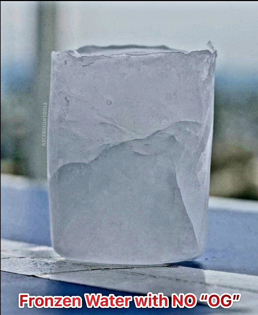 𝐏𝐇𝐎𝐄𝐍𝐈𝐗🐦‍🔥𝐃𝐑𝐀𝐆𝐎𝐍 tweet media