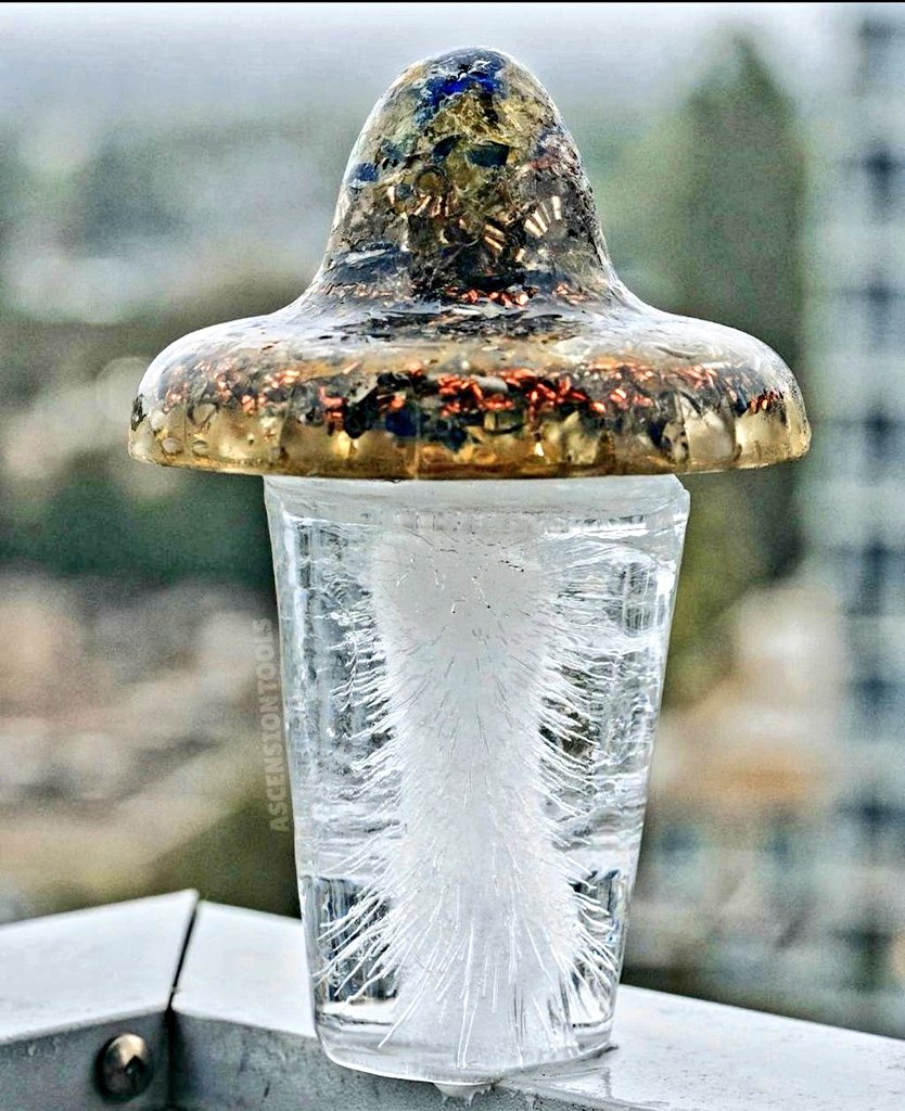 𝐏𝐇𝐎𝐄𝐍𝐈𝐗🐦‍🔥𝐃𝐑𝐀𝐆𝐎𝐍 tweet media