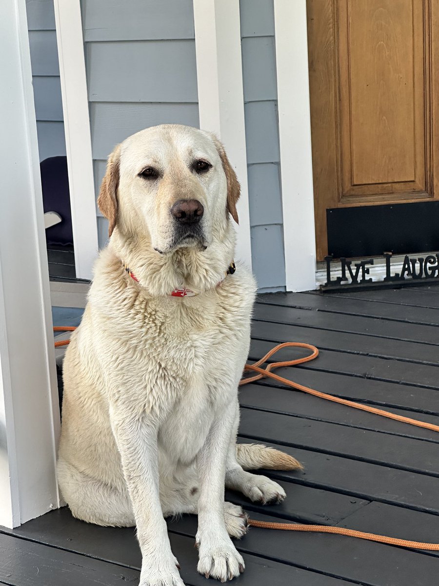 Bennett say “Hooray for  #NationalDogDay!
