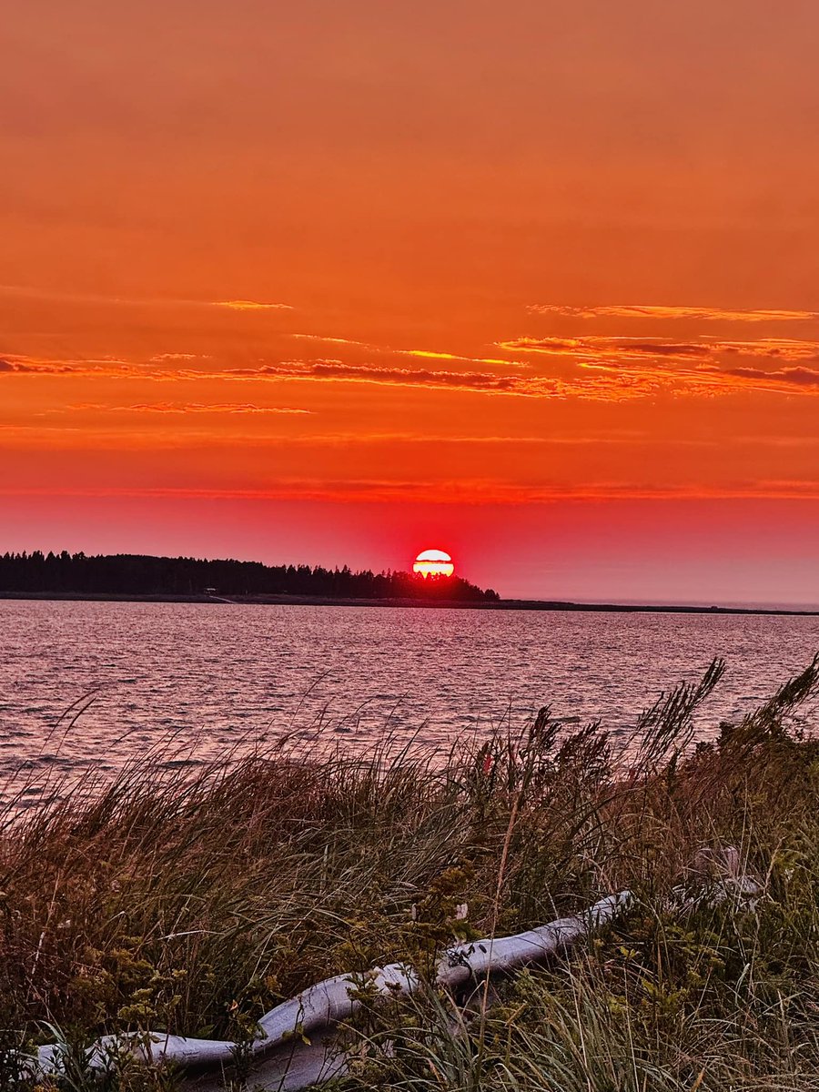 Simon Tremblay tweet media