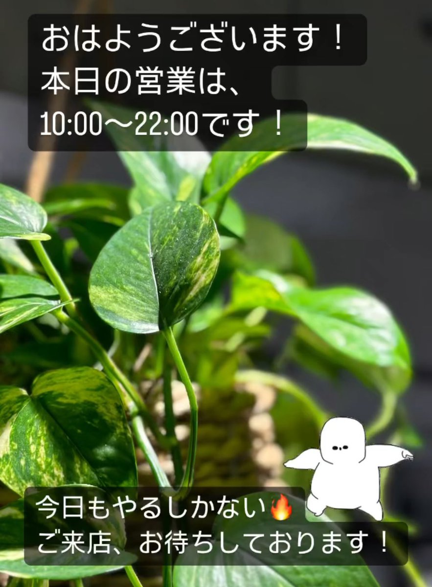 GsLABOcompany's tweet photo. おはようございます！
本日もGsトレーニングラボ豊橋は10時よりオープンしています！
天候変化で体の不調を感じる方、ストレッチはいかがでしょうか？
ご来店お待ちしております！

#ストレッチ #豊橋ストレッチ #豊橋トレーニングジム #豊橋トレーニング #豊橋 #パーソナルトレーニングジム https://t.co/yYABZEpjdk