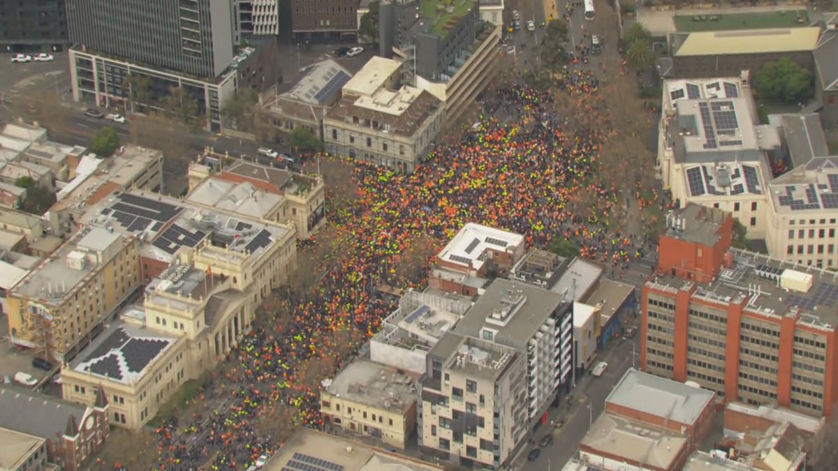 Tom Kelly tweet media