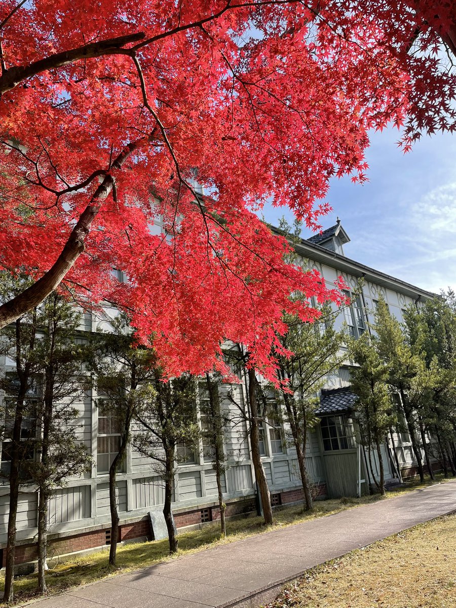 こんにちは☀️季節弁当係です！
食物栄養学科4回生一同、2024年度の恋都祭でも季節弁当を販売させていただくことになりました🍱🍁

こちらのアカウントでは、今年度の季節弁当に関する情報を発信していく予定です🍳
ぜひフォローお願いします😌✨