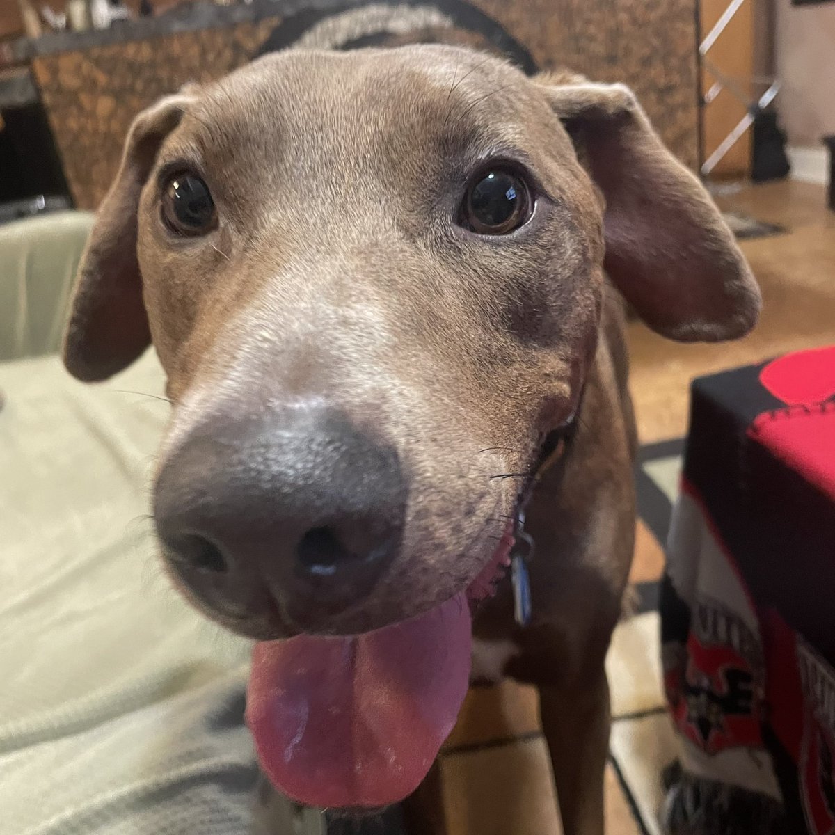 Jessica Feldmark tweet media