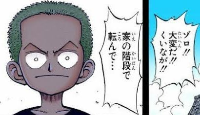 ゾロ「みっともねぇな、階段で転んだぐらいで」