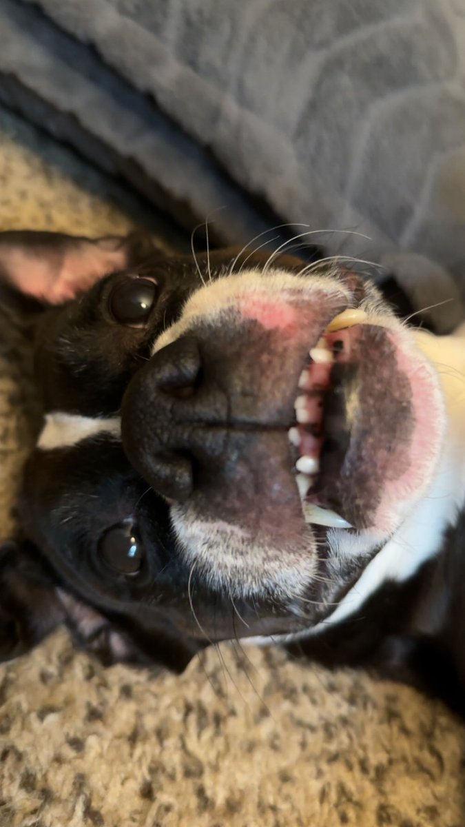 Michael Cripe tweet media