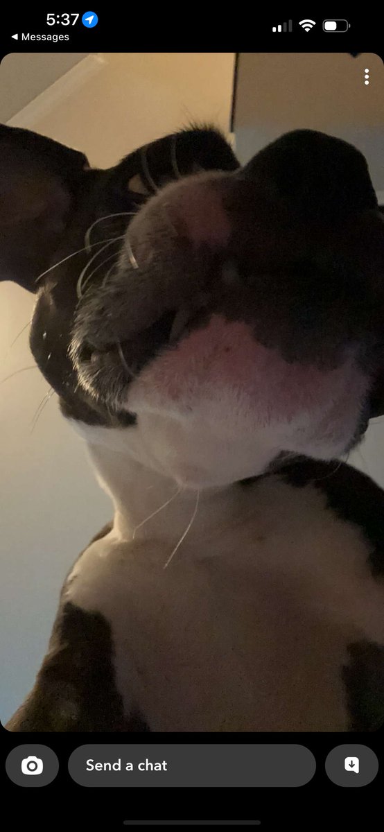 Michael Cripe tweet media