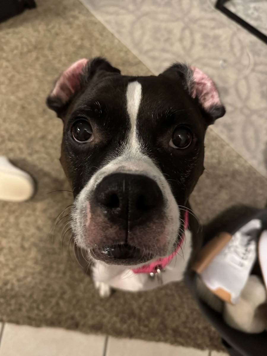 Michael Cripe tweet media