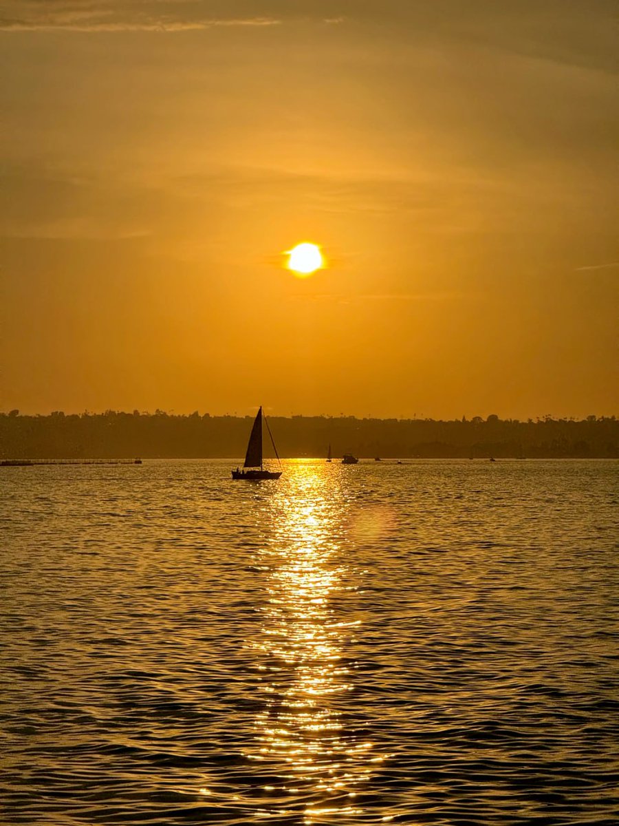 newspaperdom seigniory
“Success is not the key to happiness. Happiness is the key to success.” – Albert Schweitzer 🌟😊