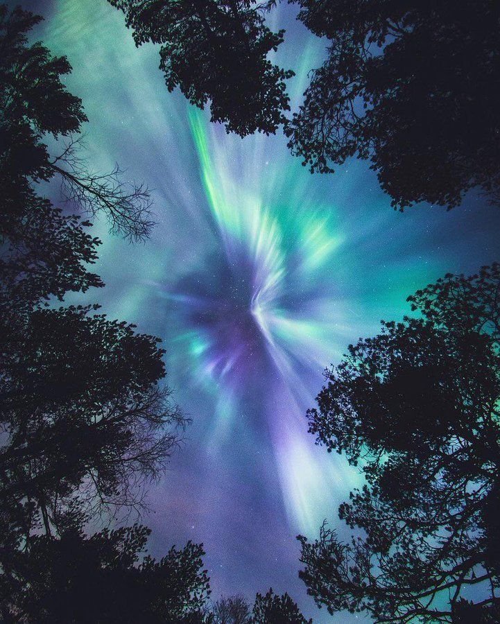 aestheticspost_'s tweet image. 