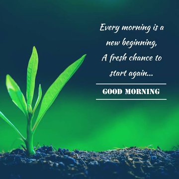 Raymond 💎 tweet media