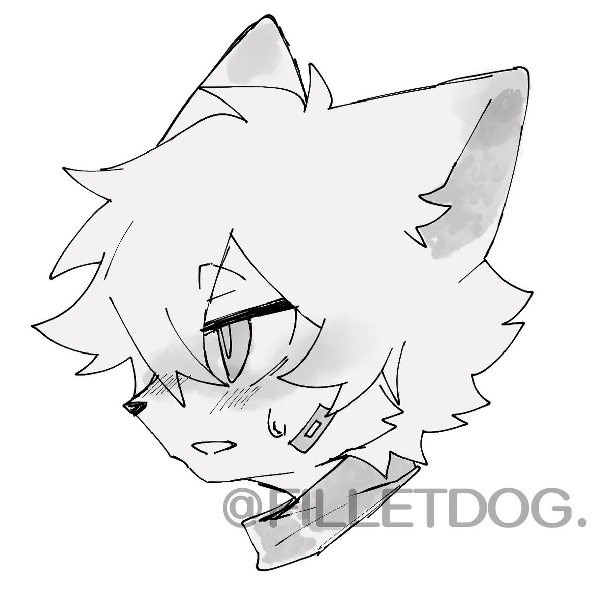 生鱼片FILLET tweet media