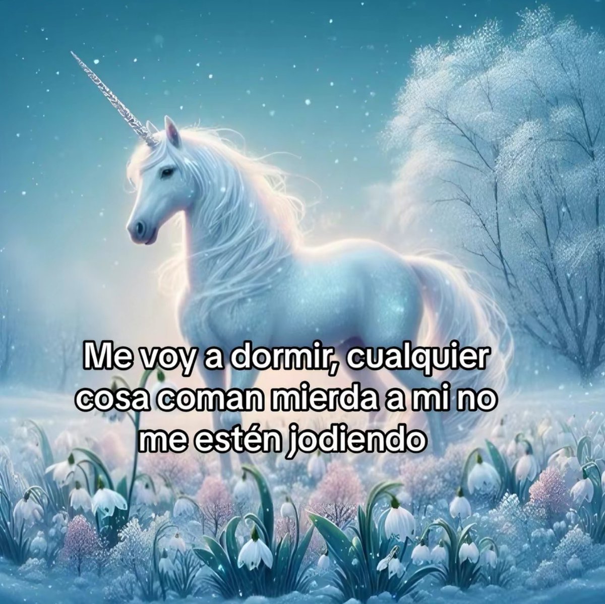 diegoilomilo (@diegoilomilo) on Twitter photo 