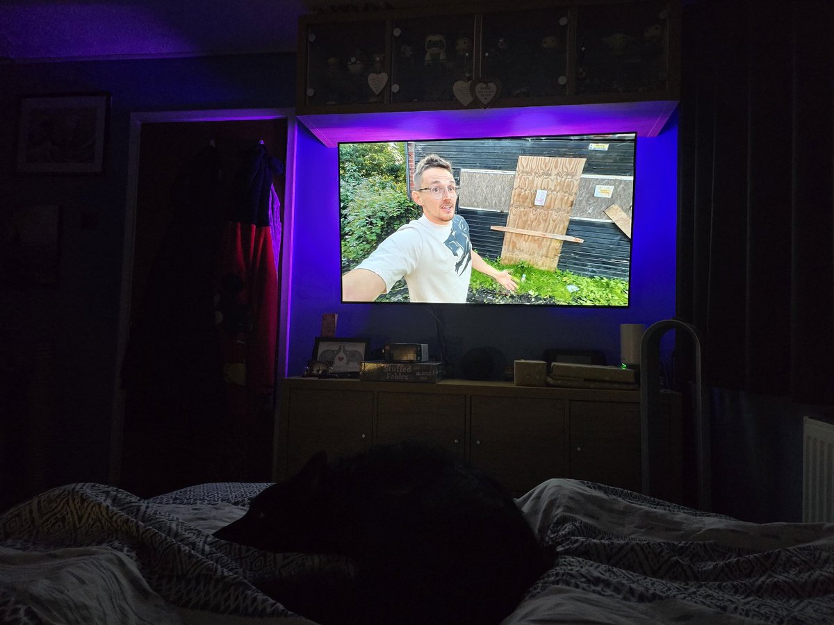 Reece 'Taii' Sowter tweet media