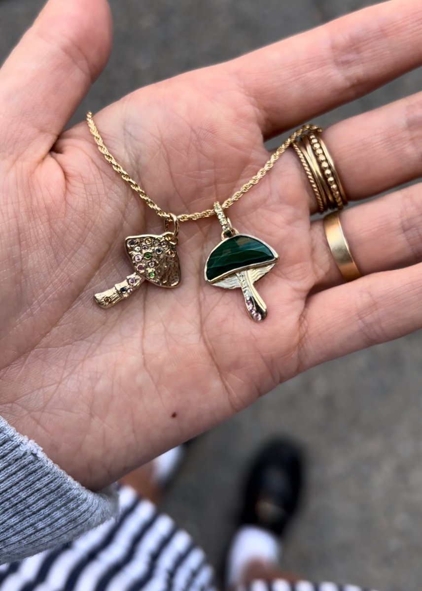 the magic of the mushroom bluboho.com