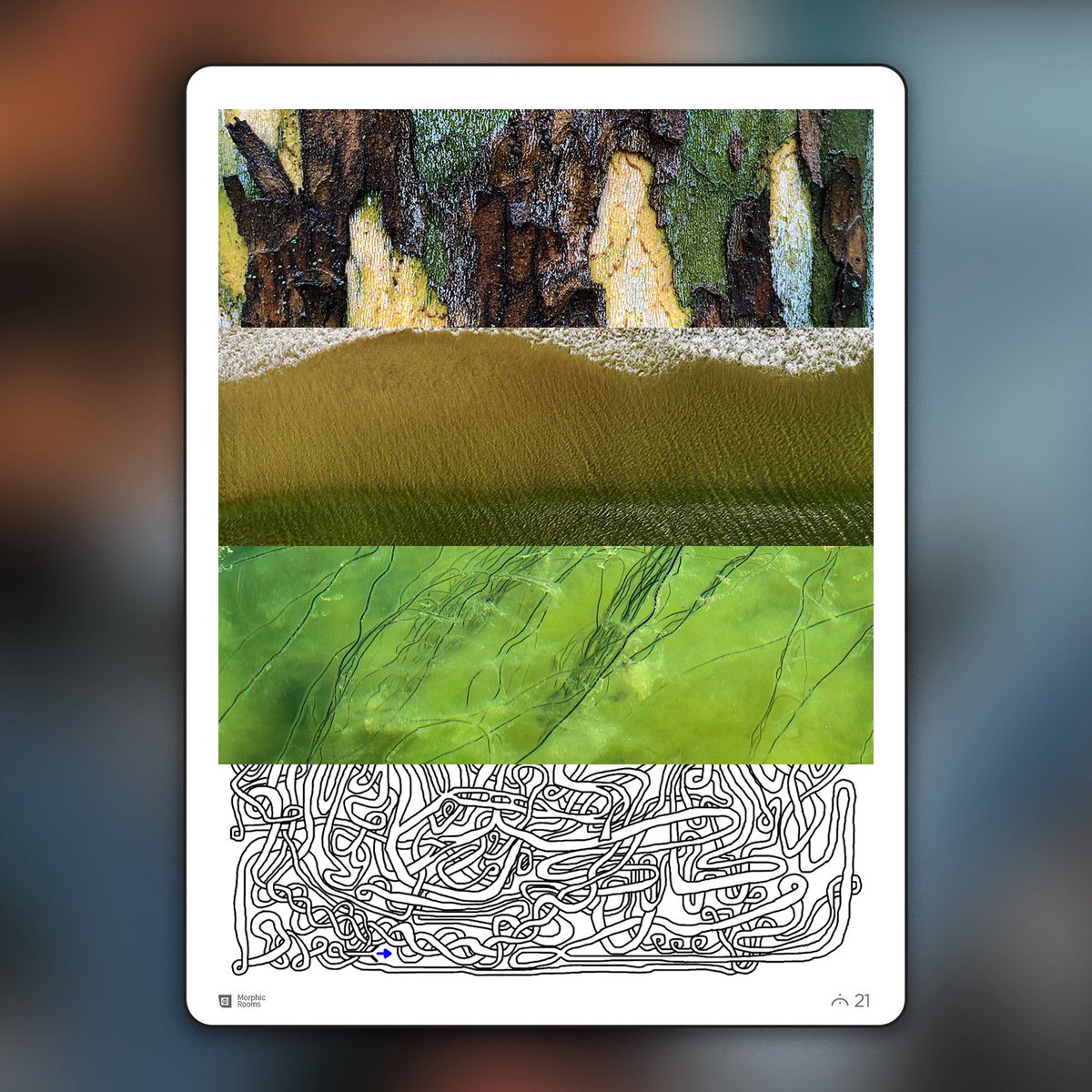 morphic additions - series two now available tweet media