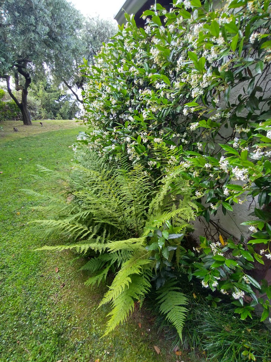 Building #WaamozMediaZone