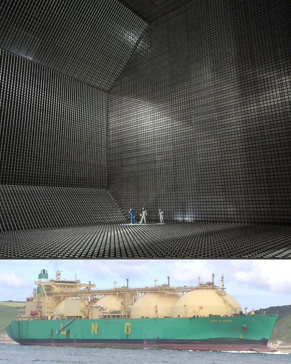 Jouhatsu tweet media