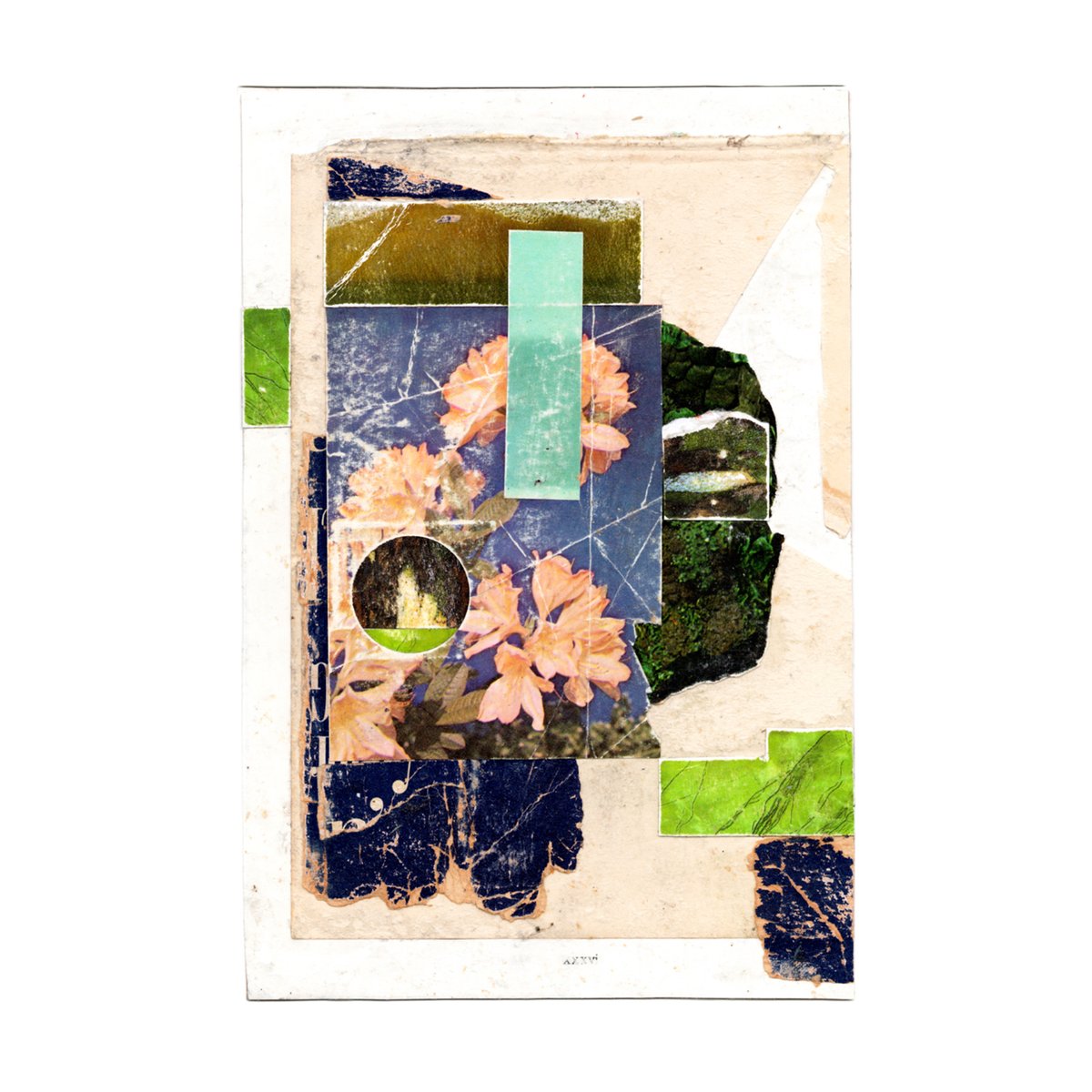 morphic additions - series two now available tweet media