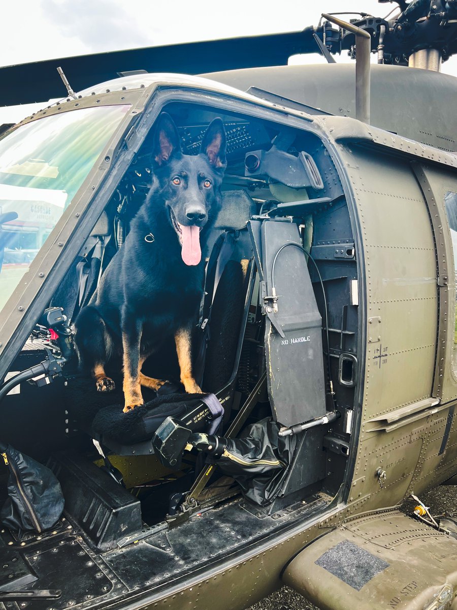LMDRCMP's tweet photo. Co-Pilot Porter is ready for take-off! 🚁
#TongueOutThursday #IntegratedPoliceDogService #ITeams #LMDRCMP @BCRCMP https://t.co/C4UpLqOtBg