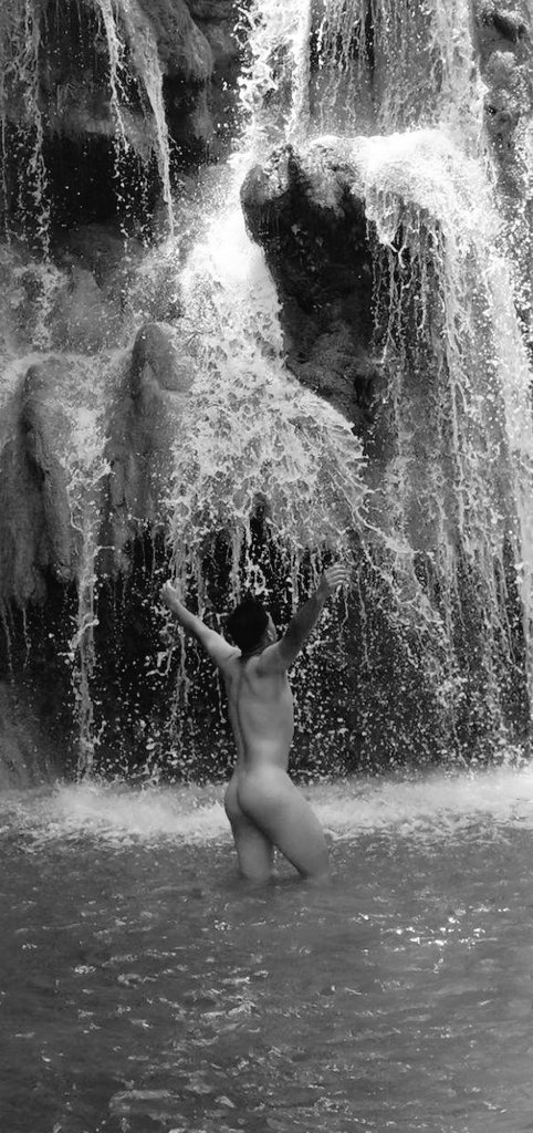 josephs perez tweet media