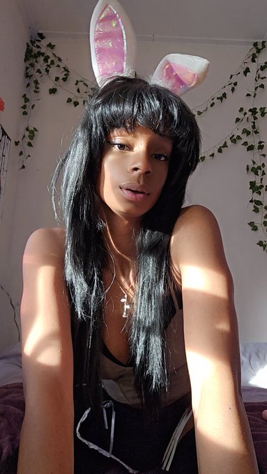 Open up subbie and no I dont mean your mouth I mean your wallet you idiot  #paypig #findom #ebonygoddess<a href="/tag/findom"class="tags"><span>#findom</span></a><a href="/tag/ebonygoddess"class="tags"><span>#ebonygoddess</span></a><a href="/tag/paypig"class="tags"><span>#paypig</span></a>