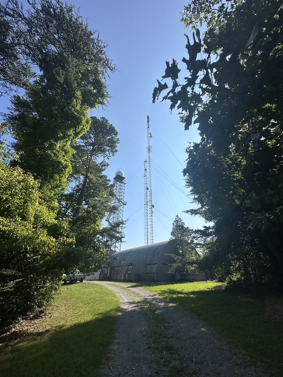 Callie Starnes tweet media